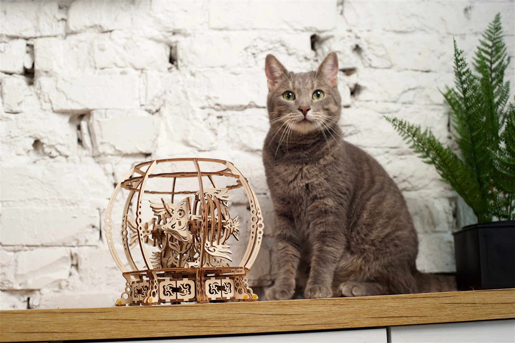 UGEARS - Acquario Meccanico