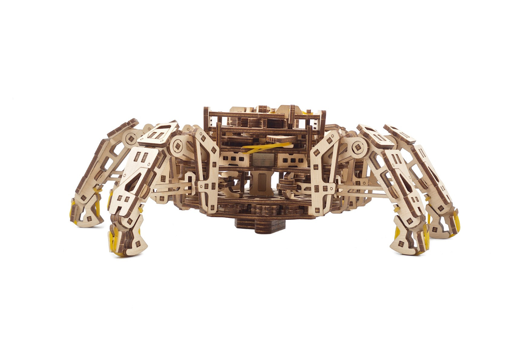UGEARS - Esapode Esploratore